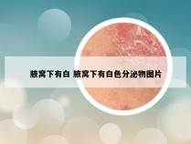 腋窝下有白 腋窝下有白色分泌物图片