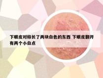 下眼皮对称长了两块白色的东西 下眼皮翻开有两个小白点