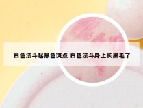 白色法斗起黑色斑点 白色法斗身上长黑毛了