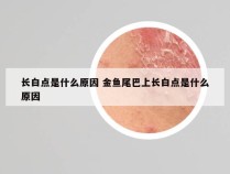 长白点是什么原因 金鱼尾巴上长白点是什么原因