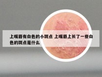 上嘴唇有白色的小斑点 上嘴唇上长了一些白色的斑点是什么