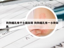 狗狗瞳孔有个小圆白斑 狗狗瞳孔有一小块白色