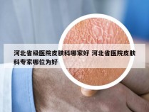 河北省级医院皮肤科哪家好 河北省医院皮肤科专家哪位为好