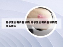 鼻子里面有白色块物 鼻子里面有白色块物是什么原因