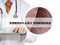 生物制剂长什么样子 生物制剂的用途