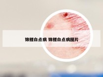 锦鲤白点病 锦鲤白点病图片