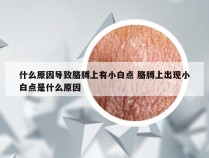 什么原因导致胳膊上有小白点 胳膊上出现小白点是什么原因