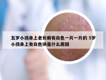 五岁小孩身上老长癣有白色一片一片的 5岁小孩身上有白色块是什么原因