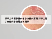 脖子上有很多乳白色小块什么原因 脖子上起了白色的小点是怎么回事