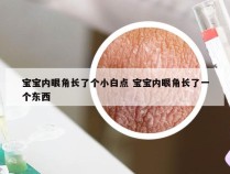 宝宝内眼角长了个小白点 宝宝内眼角长了一个东西