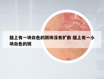 腿上有一块白色的斑块没有扩散 腿上有一小块白色的斑