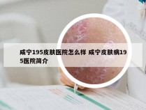 咸宁195皮肤医院怎么样 咸宁皮肤病195医院简介