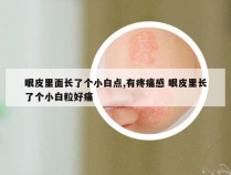 眼皮里面长了个小白点,有疼痛感 眼皮里长了个小白粒好痛