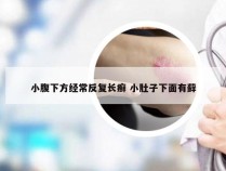 小腹下方经常反复长癣 小肚子下面有藓