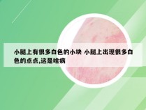 小腿上有很多白色的小块 小腿上出现很多白色的点点,这是啥病