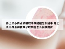 身上长小白点和被蚊子咬的痘怎么回事 身上长小白点和被蚊子咬的痘怎么回事图片