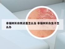 幸福树长白斑点是怎么治 幸福树长白虫子怎么办