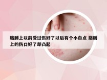 胳膊上以前受过伤好了以后有个小白点 胳膊上的伤口好了却凸起