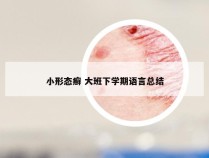 小形态癣 大班下学期语言总结