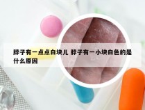 脖子有一点点白块儿 脖子有一小块白色的是什么原因