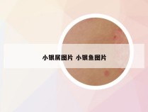 小银屑图片 小银鱼图片