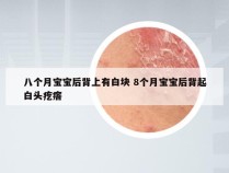 八个月宝宝后背上有白块 8个月宝宝后背起白头疙瘩