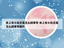 身上有小白点是怎么回事呀 身上有小白点是怎么回事呀图片