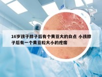 16岁孩子脖子后有个黄豆大的白点 小孩脖子后有一个黄豆粒大小的疙瘩