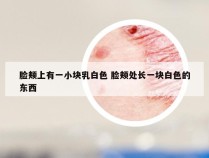 脸颊上有一小块乳白色 脸颊处长一块白色的东西