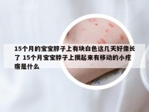 15个月的宝宝脖子上有块白色这几天好像长了 15个月宝宝脖子上摸起来有移动的小疙瘩是什么