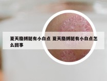 夏天胳膊腿有小白点 夏天胳膊腿有小白点怎么回事