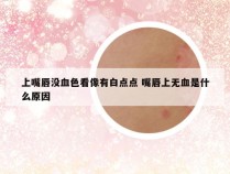 上嘴唇没血色看像有白点点 嘴唇上无血是什么原因